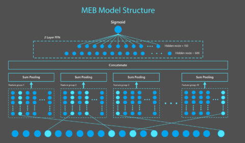 Technical diagram of MEB model. MEB is a sparse neural network model composed of an input layer taking in binary features, a feature embedding layer transforming each binary feature into a 15-dimension vector, a sum pooling layer applied on each of 49 feature groups and concatenated to produce a 735-dimension vector, which is then passed through two dense layers to produce a click probability. Features shown in this figure are generated from the example query “Microsoft Windows” and document www.microsoft.com/en-us/windows.