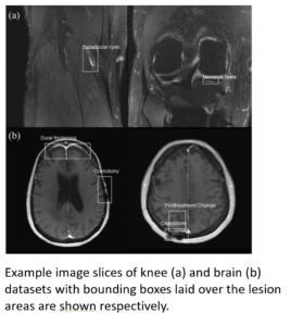Example Images with Annonations