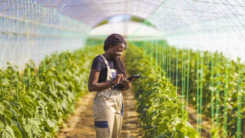 Smiling female farmer using digital tablet at greenhouse